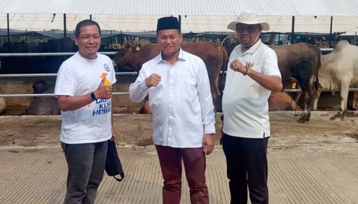 Perayaan Iduladha 1447 H, KJK Sembelih 1 Sapi dan 1 Kambing