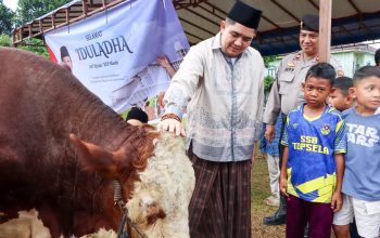 Sholat Iduladha 1447 H, Bupati Bintan Serahkan Sapi Banpres Untuk Masjid Jami’ Al Hidayah Toapaya