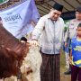 Sholat Iduladha 1447 H, Bupati Bintan Serahkan Sapi Banpres Untuk Masjid Jami’ Al Hidayah Toapaya