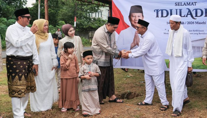 Bupati Bintan Serahkan Sapi Kurban Bantuan Presiden di Toapaya dan Tanjung Uban 