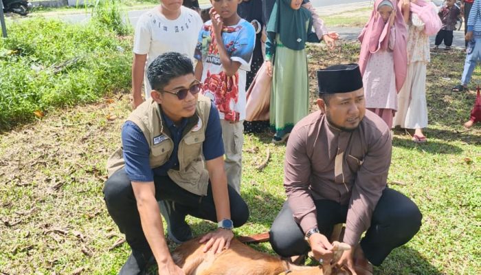Iduladha 1447 H, Yayasan Peduli Natuna Sembelih Dua Ekor Kambing Kurban Untuk Masyarakat 