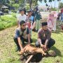 Iduladha 1447 H, Yayasan Peduli Natuna Sembelih Dua Ekor Kambing Kurban Untuk Masyarakat 