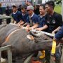 Sembelih 33 Hewan Kurban, BP Batam Distribusikan Daging Kurban Untuk Masyarakat 