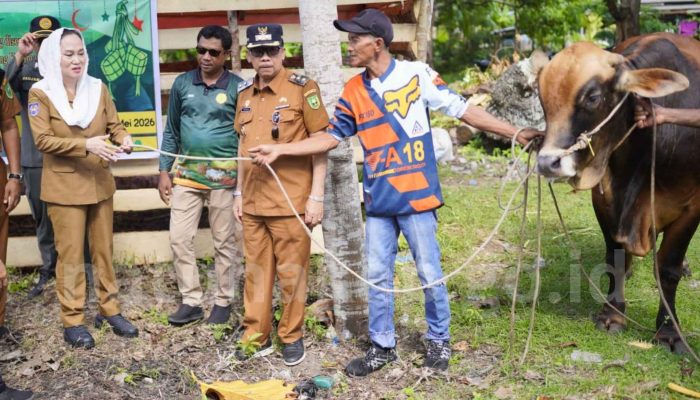 Jelang Iduladha, Bupati Natuna Serahkan Sapi Banpres di Masjid Al-Ihyak Pulau Laut