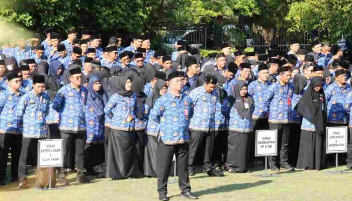 Tahun 2026, Lebih dari 100 Guru di Pemko Tanjungpinang Pensiun