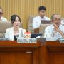 Pembangunan Kawasan Tanpa Minta  APBN, Komisi VI DPR RI Apresiasi Kinerja BP Batam 