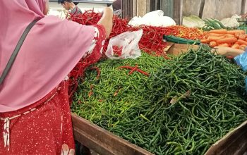 Harga Bahan Pokok di Tanjungpinang Naik, Daya Beli Masyarakat Melemah