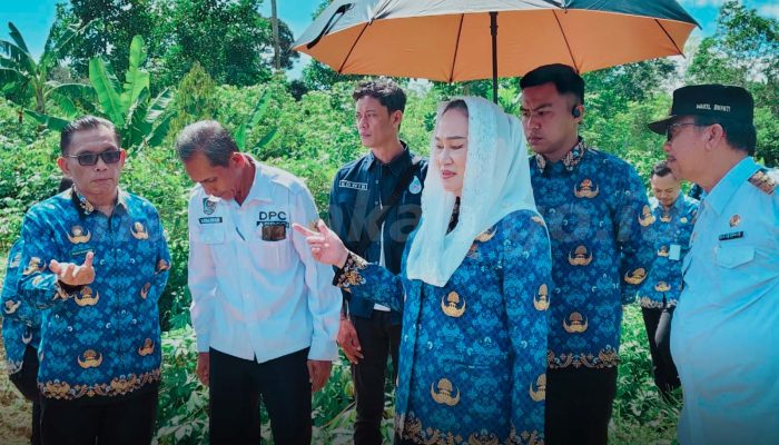 BWSS Normalisasi Sungai di Desa Sebadai Ulu dan Limau Manis Natuna Untuk Atasi Banjir