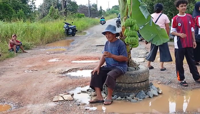 Warga Banjar Baru Bintan Tanam Pohon Pisang dan Kelapa di Tengah Jalan