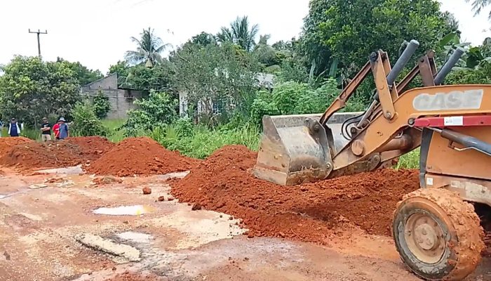 Pasca Ditanam Pisang, Dinas PU Bintan Timbun Jalan Berlubang di Kampung Banjar Baru