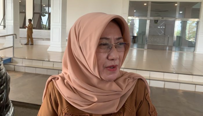 DKP2KH Kepri Perketat Pengawasan Peredaran Komoditas Bawang 