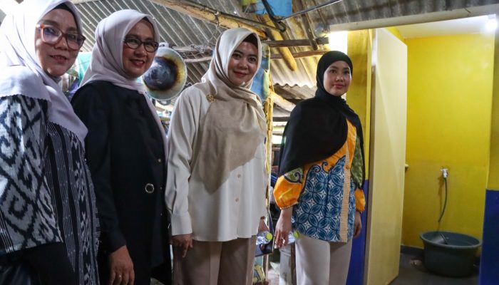 Hafizha Tinjau Pembangunan Sarana Sanitasi dan Air Minum di Tembeling dan Pengujan