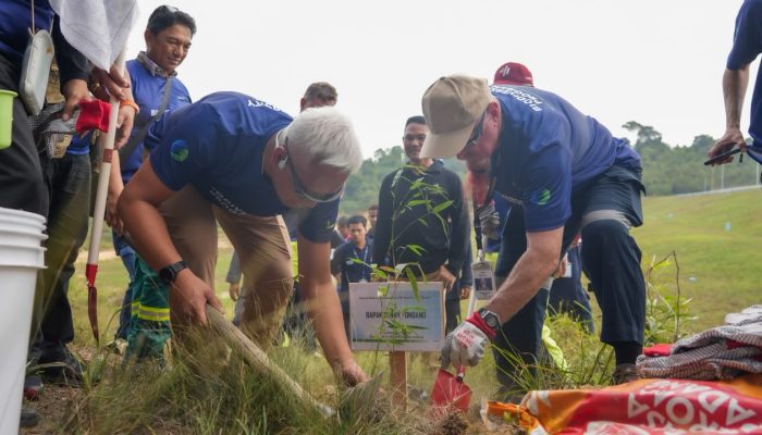 BP Batam Gandeng Mc Dermott Tanam 400 Bambu Betung di Bendungan Sei Nongsa