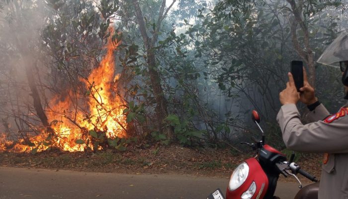 Polsek Tanjungpinang Kota Bersama Damkar Padamkan Karhutla di Kampung Bugis