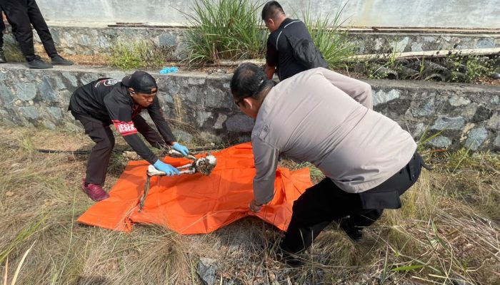 Warga Temukan Kerangka Manusia di Kampung Mekar Jaya Tanjungpinang
