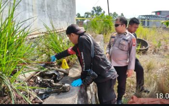 Identitas Kerangka Manusia di Kampung Mekar Jaya Tanjungpinang Terungkap 