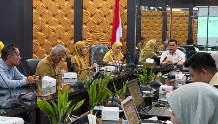 Pemkab Bintan Susun RPIK, Jadikan Bintan Pusat Industri Baru di Kepri