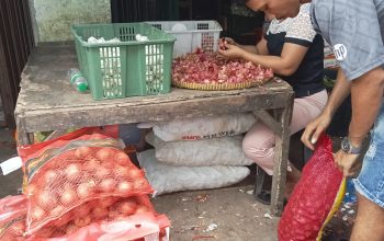 Mengintip Upah Kupas Bawang di Tanjungpinang, Rp1000 Untuk 1 Kg Bawang