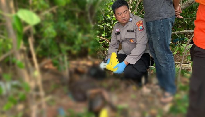 Mayat Pria Ditemukan di Kawasan Pantai Haji Ungar Tanjungpinang  ‎