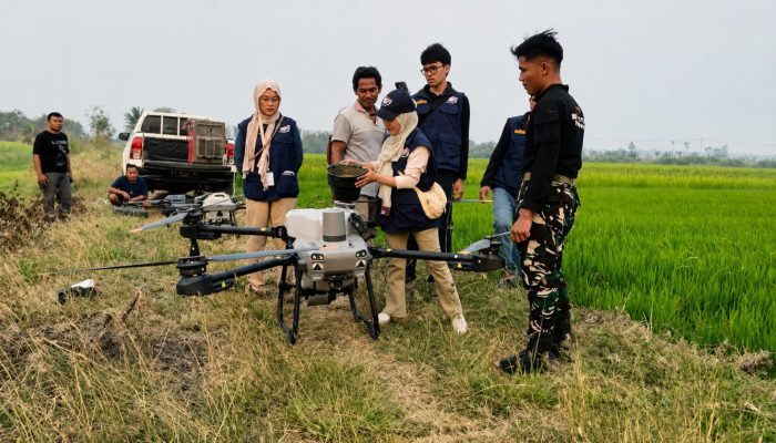 Pemupukan Gunakan Drone Pertanian, Petani Merauke Hemat Biaya Hingga 90 Persen