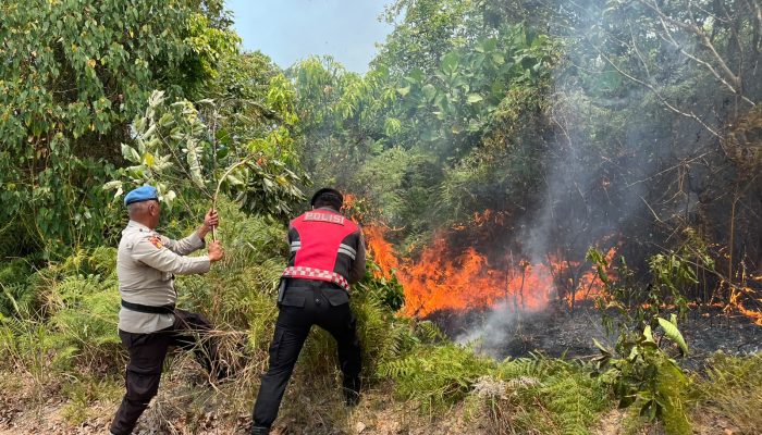 Polsek Bukit Bestari Bersama Damkar Padamkan Kebakaran Lahan 1,5 Hektar di Dompak