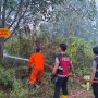 Polisi Bersama Damkar Padamkan Kebakaran Lahan 1,9 Hektare di Bintan Timur