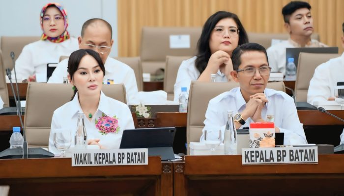RDP Bersama DPR RI, BP Batam Sampaikan RKA 2027 Rp2,44 Triliun