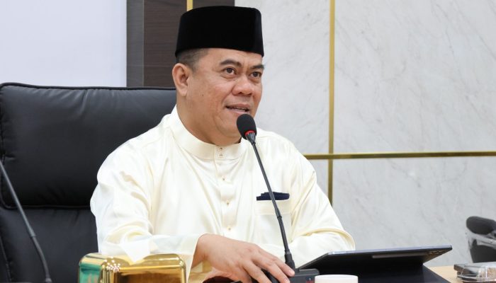 Keberlanjutan KEK Galang Batang, Pemkab Bintan Butuh Solusi Ketersediaan Stockpile Bauksit