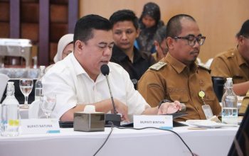 Sekda Ronny Sinkronkan Usulan Listrik Desa Untuk Wujudkan ‘Bintan Terang’