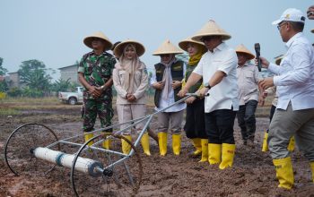 Hari Pangan Sedunia, Wagub Kepri Dorong Penerapan Pertanian Modern Tingkatkan Produktivitas 