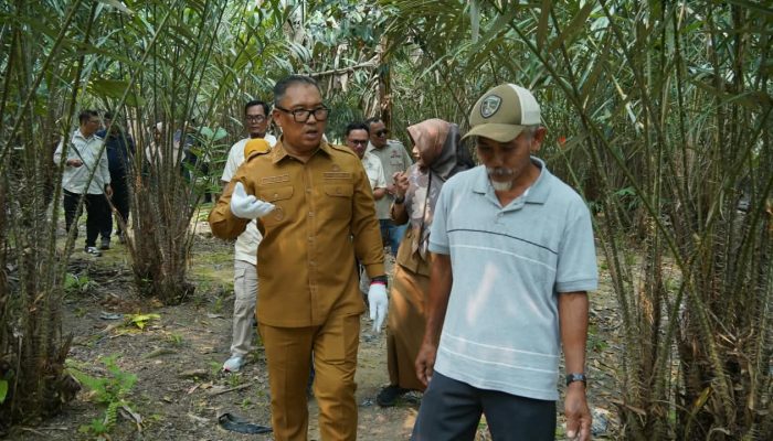 Kurangi Ketergantungan Buah Luar Daerah, Wagub Kepri Dukung Perkebunan Salak Sari Intan di Bintan 