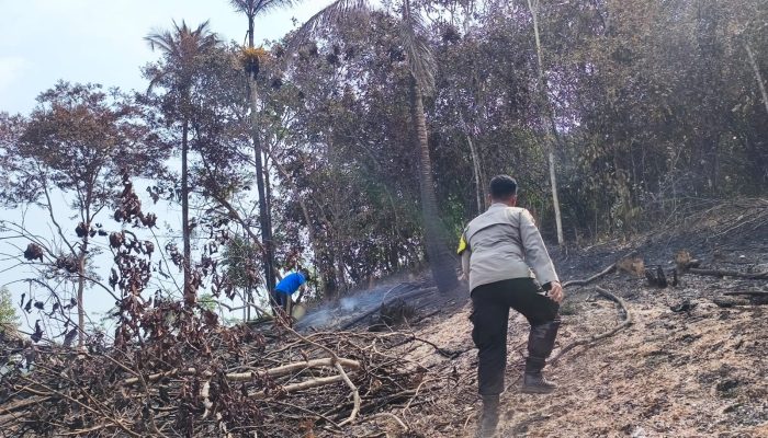 Bhabinkamtibmas Polsek Palmatak Padamkan Sisa Api di Kebun Warga