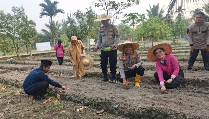 Dukung Swasembada Pangan, Polsek Tanjungpinang Kota Tanam Jagung Kuartal IV Di Senggarang