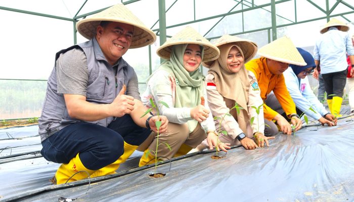 Poktan Barokah Tanam Padi, Sekda Ronny: Dorong Penguatan Ketahanan Pangan 
