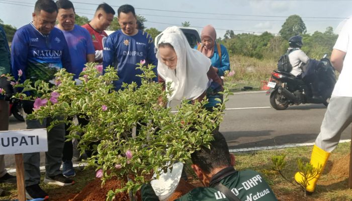 Perindah Kota Ranai, Bupati Cen Sui Lan Bersama OPD Tanam Bunga di Jalan Batu Sisir