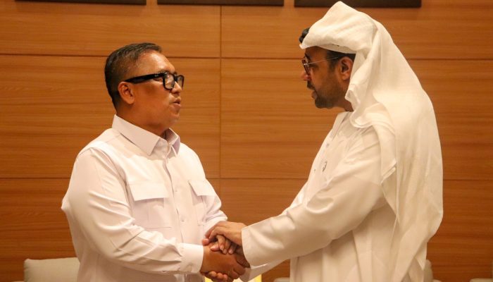 Perkuat Kemitraan dan Perluasan Investasi, Wagub Kepri Temui Dubes UEA di Jakarta